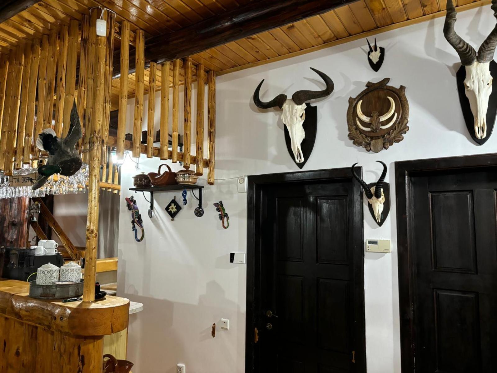 A Hunter's * Dîmbovicioara